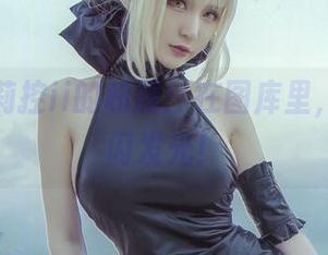 在下萝莉控ii的和服：在图库里，也能闪闪发光！