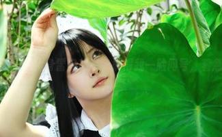 白莉爱吃巧克力化身雷电将军，搞得我一脸问号，着急找资源！