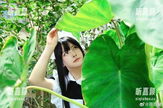 白莉爱吃巧克力 白莉爱吃巧克力化身雷电将军,搞得我一脸问号,着急找资源!