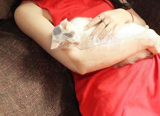 青豆客 – 玉兔miki的体操服，下载一击致胜，运动风与可爱并存！